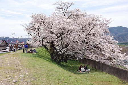 尾関山公園に行きました ひろしまプチレポ 楽天ブログ