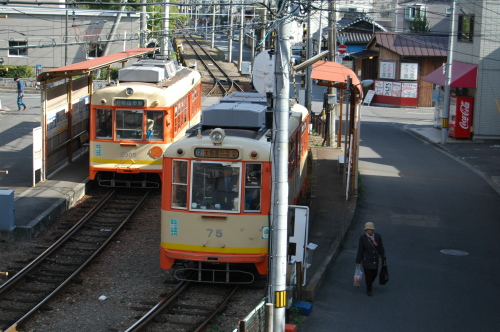 DSC_7345.JPG