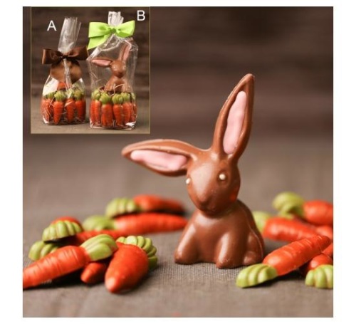 bunny & carrots.jpg
