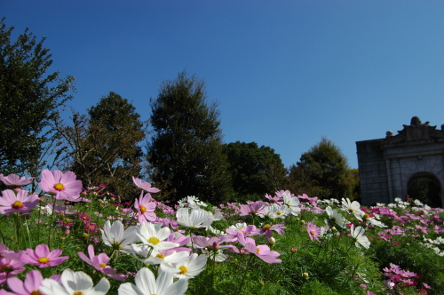 DSC_1825.JPG