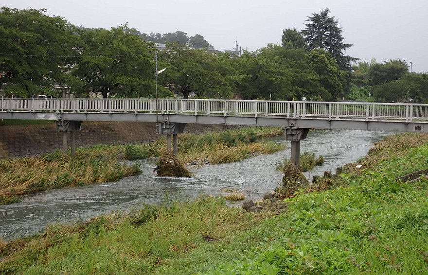 クズの花 続々 ゆったりロード 南浅川 散歩 楽天ブログ