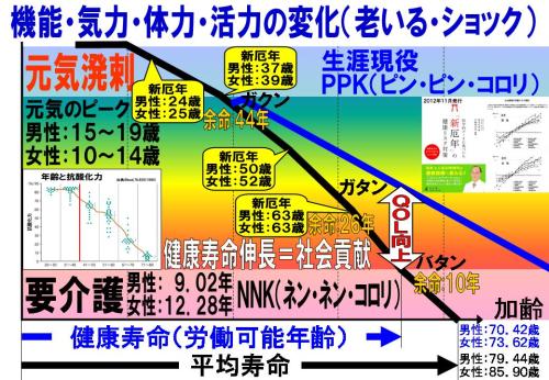 機能・気力・体力・活力の変化（老いる・ショック）.jpg