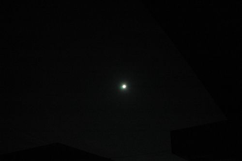 DSC_2651.JPG