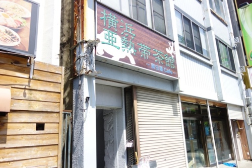 伊勢佐木町 横浜亜熱帯茶館 前から入って見たかった爬虫類カフェに潜入 横浜泥酔 楽天ブログ