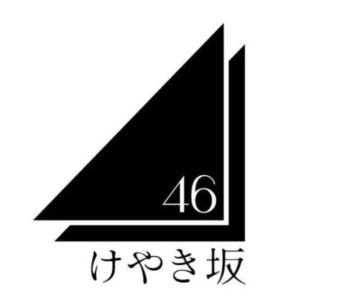 乃木坂46 欅坂46の ロゴマーク 商標登録 がまだ決まらず 各3種類が候補に ルゼルの情報日記 楽天ブログ