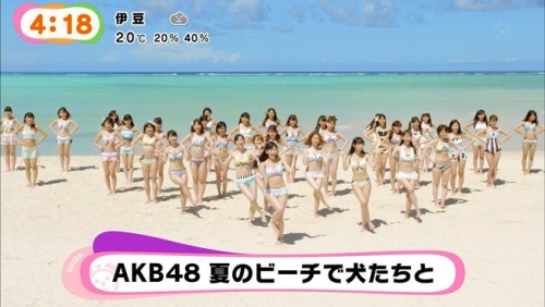 Akb48 新曲 ラブラドール レトリバー Mv公開 映像付 まゆゆが犬に変身 ルゼルの情報日記 楽天ブログ