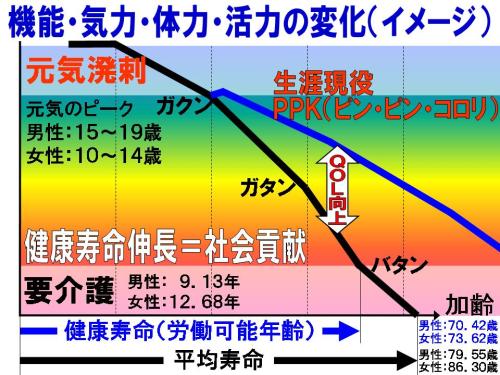 機能・気力・体力・活力の変化.jpg