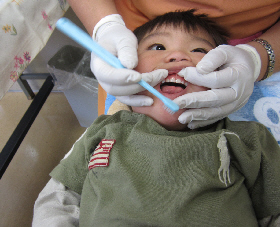 １歳半の歯科健診とアメリカの歯磨き粉 Little Canary Boy 楽天ブログ