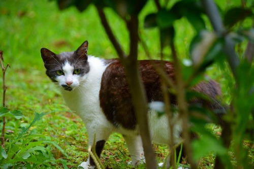 DSC_1049.jpg