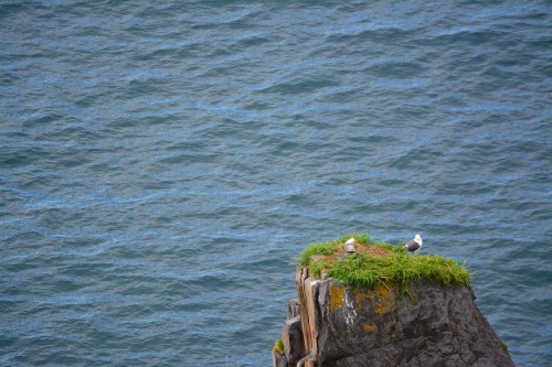 DSC_0664.jpg