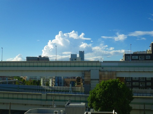 IMGP1177.jpg
