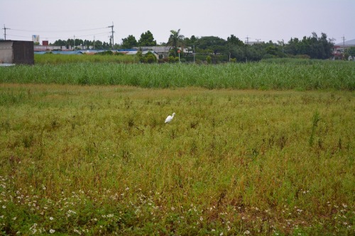 DSC_0837.jpg