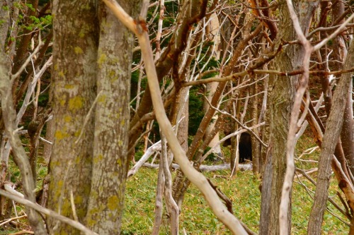 DSC_0734.jpg