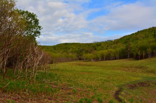 DSC_0727.jpg