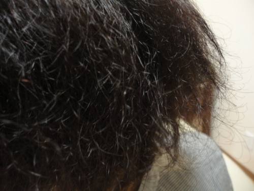 他店でパーマ失敗！？チリチリビビリ毛に・・・その2 画像有 長岡市の髪と地肌にやさしい大人のマンツーマンヘアサロンRIVERS（リバース