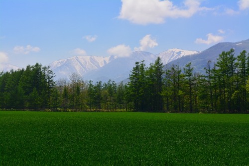 DSC_0543.jpg