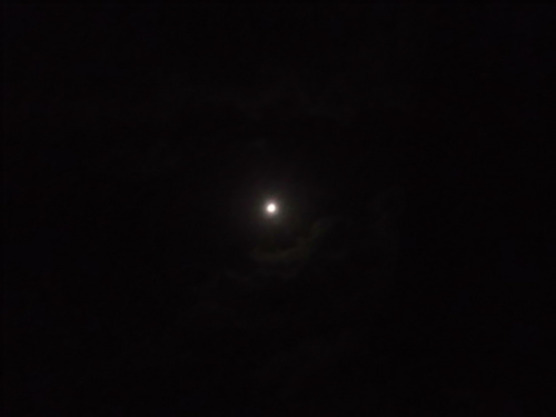 IMGP1328.jpg