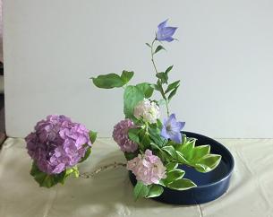 桔梗が素敵な紫陽花の盛花 いけばな日記 楽天ブログ