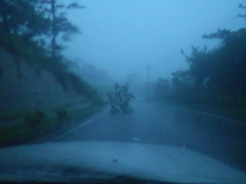 IMGP1512.jpg