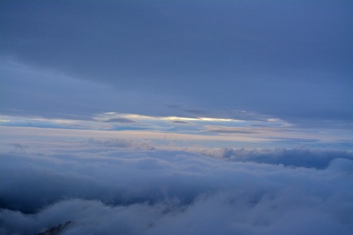 DSC_0783.jpg