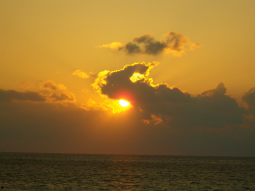 IMGP1304.jpg