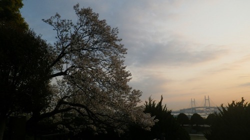IMGP0004.jpg