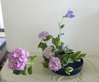 桔梗が素敵な紫陽花の盛花 いけばな日記 楽天ブログ