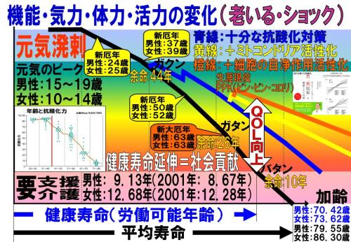 機能・気力・体力・活力の変化.jpg