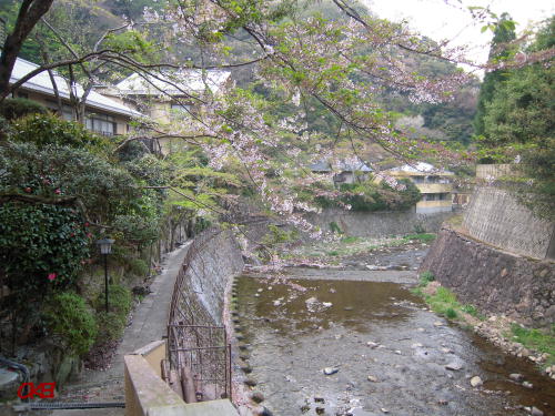 桜温泉 (2).JPG