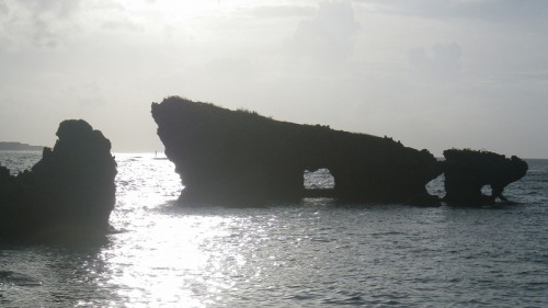 IMGP0101.jpg