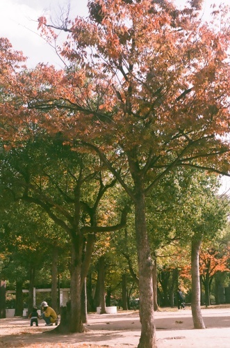 13290020(V.2012_12_05__12_29_24).jpg