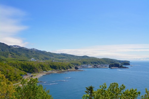 DSC_0554.jpg