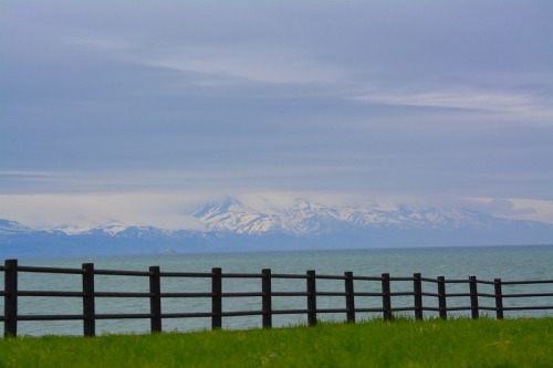 DSC_0029.jpg