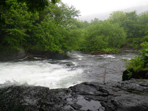 IMGP0379.JPG