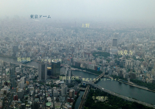 くもり空の東京 スカイツリーに行って来ました チャチャコママ 楽天ブログ