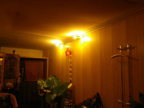 IMGP1296.jpg
