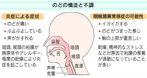 のどの構造と不調日経121117.jpg