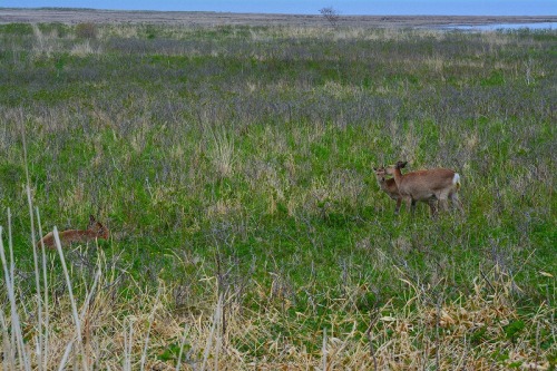 DSC_0002.jpg