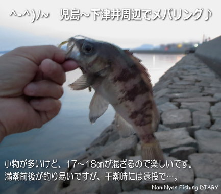 梅雨前のメバリング 岡山県下津井 琴浦 周辺でメバリング W 何がニャンでも ルアーフィッシング日記 楽天ブログ