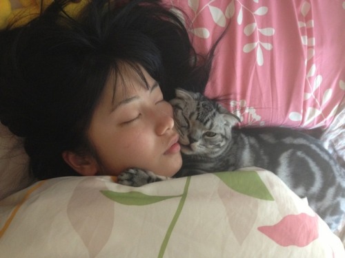 Akb48 Nmb48 横山由依と愛猫ビスとのお昼寝がかわいいと評判に 北川謙二 Nmb48 履正社の応援歌に ルゼルの情報日記 楽天ブログ