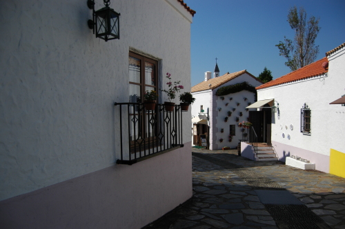 DSC_1831.JPG
