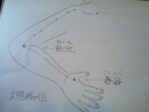 手の中で一番有名でお役立ちツボ 合谷 ごうこく ロビンソンの ちょっと楽しい縄文生活 楽天ブログ