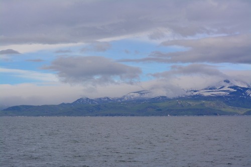 DSC_0284.jpg
