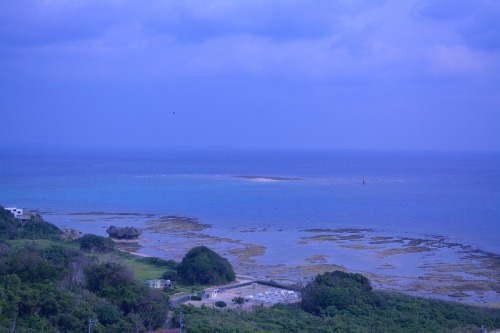DSC_0342.jpg