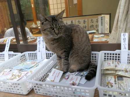 王子神社の最後の１人