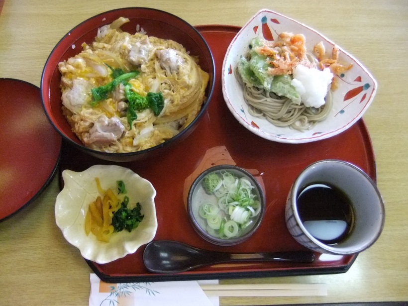 サガミ八潮店の名古屋コーチン丼と桜えびミニそば20120229.JPG