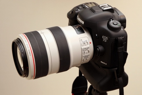 Canon EOS 7D MarkII + BG-E16 + EF 70-300mm F4-5.6L IS USM | H!dejeez