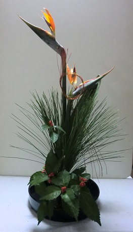 お正月花 いけばな日記 楽天ブログ
