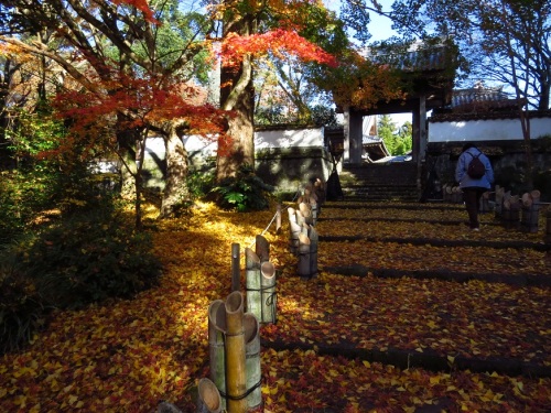 臼杵 普現寺と白馬渓のモミジ紅葉を観に行って来ました 大分金太郎の花鳥蝶月 楽天ブログ