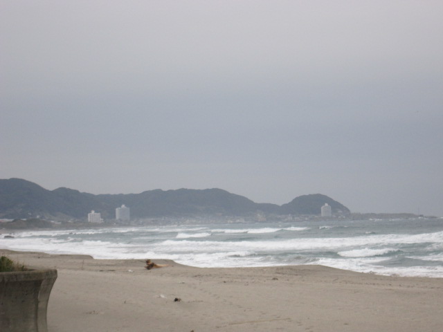 和田浦の海岸